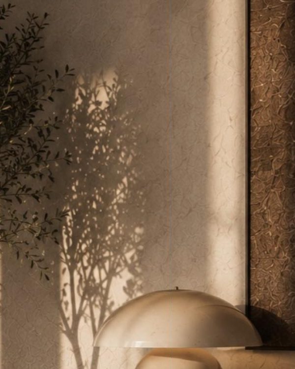 Limewash wall with olive leaf shadows